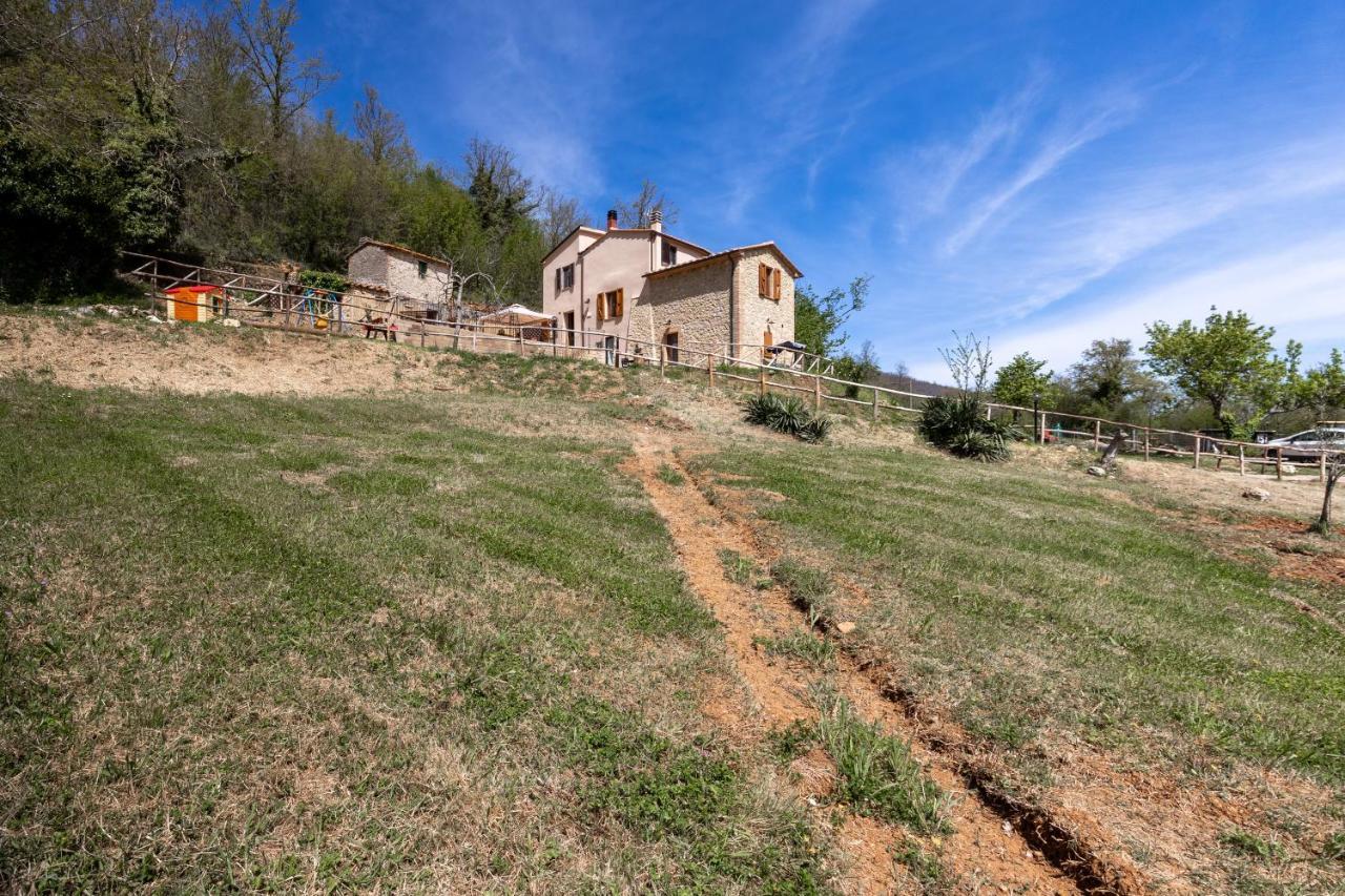 Podere Del Ciacchi Among Tuscany Greenery - Happy Rentals Montieri Εξωτερικό φωτογραφία