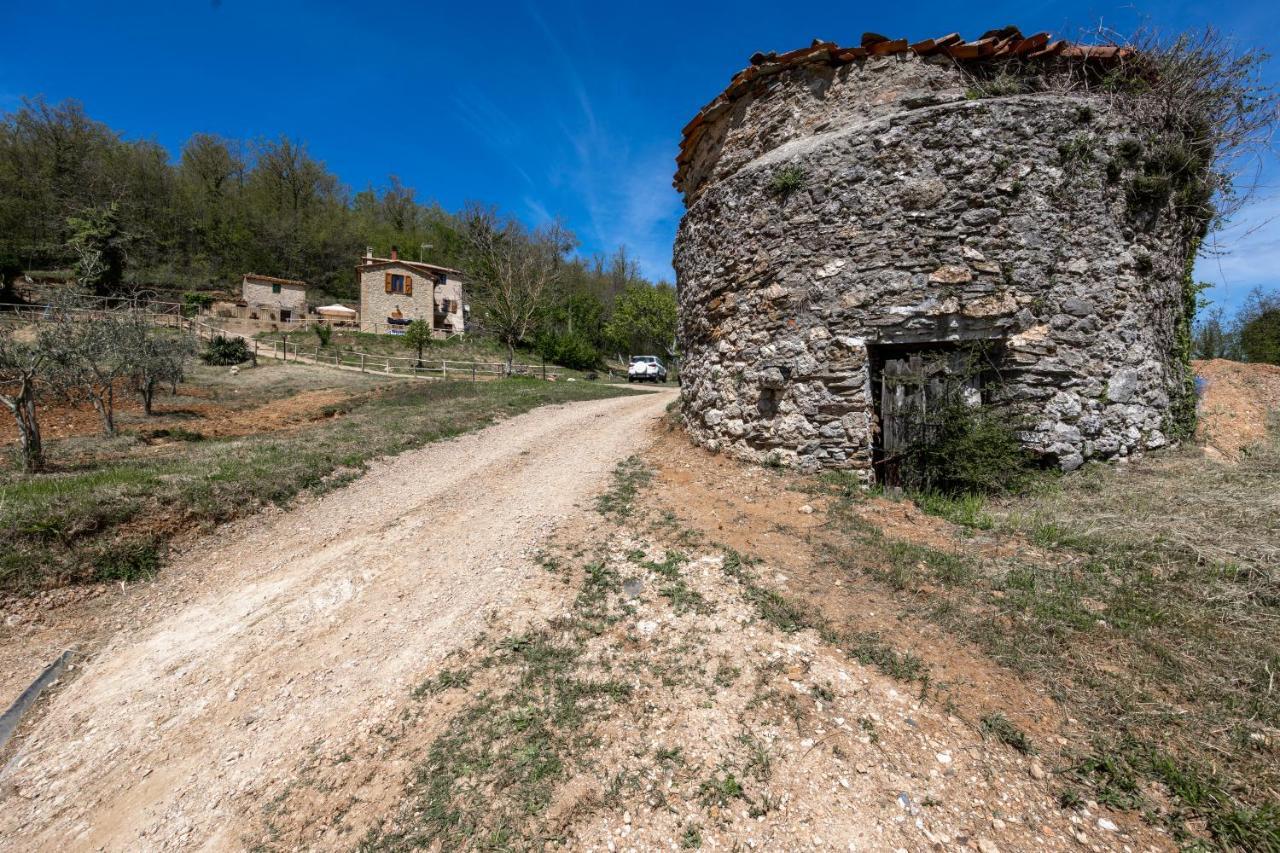 Podere Del Ciacchi Among Tuscany Greenery - Happy Rentals Montieri Εξωτερικό φωτογραφία