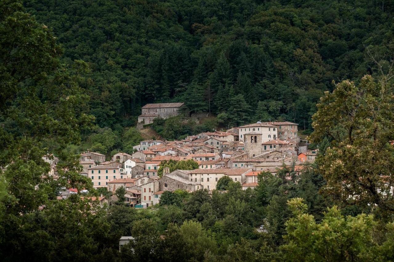 Podere Del Ciacchi Among Tuscany Greenery - Happy Rentals Montieri Εξωτερικό φωτογραφία